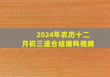 2024年农历十二月初三适合结婚吗视频