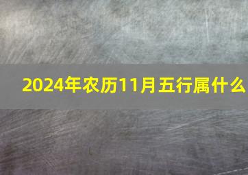 2024年农历11月五行属什么