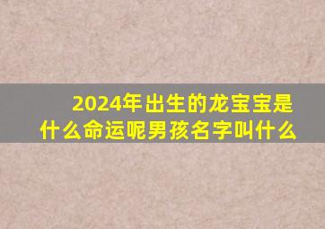 2024年出生的龙宝宝是什么命运呢男孩名字叫什么