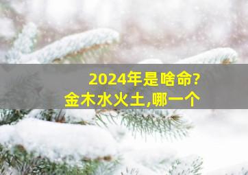 2024年是啥命?金木水火土,哪一个