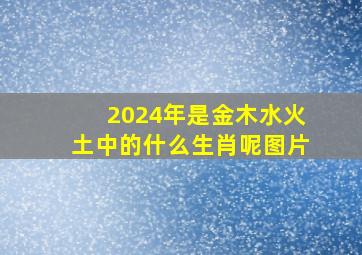 2024年是金木水火土中的什么生肖呢图片