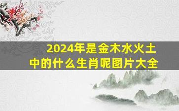 2024年是金木水火土中的什么生肖呢图片大全