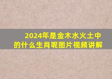 2024年是金木水火土中的什么生肖呢图片视频讲解