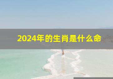 2024年的生肖是什么命