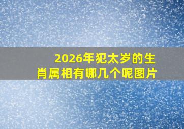 2026年犯太岁的生肖属相有哪几个呢图片