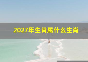 2027年生肖属什么生肖