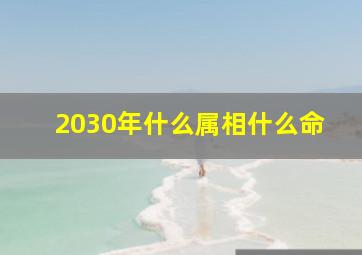 2030年什么属相什么命