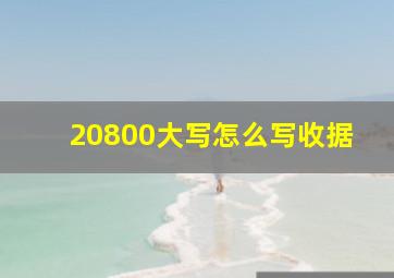 20800大写怎么写收据