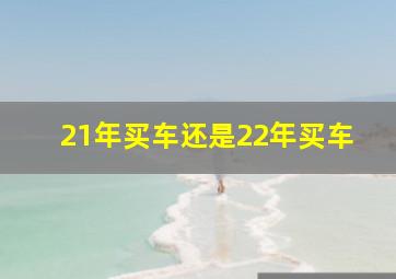 21年买车还是22年买车