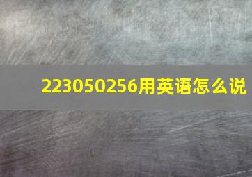 223050256用英语怎么说