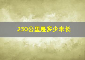 230公里是多少米长