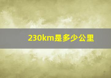 230km是多少公里