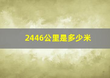 2446公里是多少米