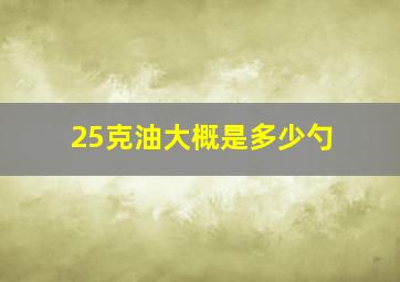 25克油大概是多少勺