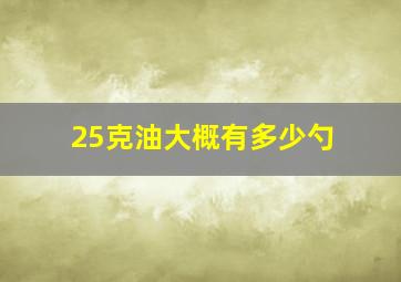 25克油大概有多少勺