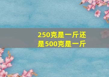 250克是一斤还是500克是一斤