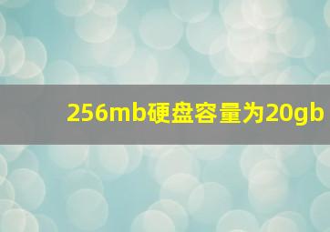 256mb硬盘容量为20gb