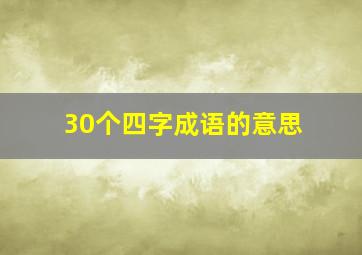 30个四字成语的意思