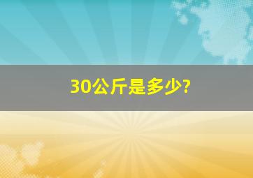 30公斤是多少?