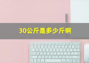 30公斤是多少斤啊