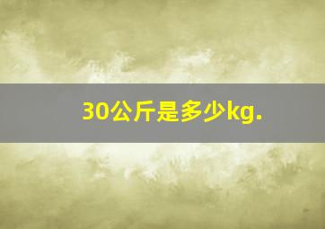 30公斤是多少kg.