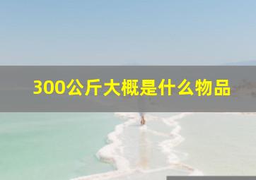 300公斤大概是什么物品