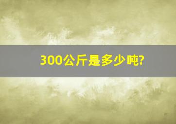 300公斤是多少吨?