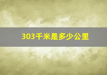 303千米是多少公里