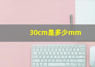 30cm是多少mm