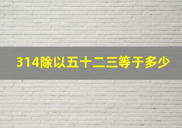 314除以五十二三等于多少