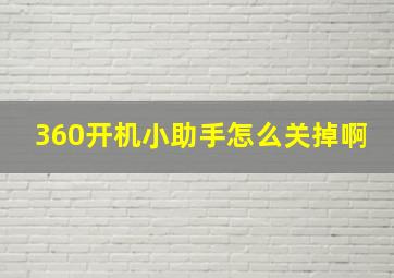 360开机小助手怎么关掉啊