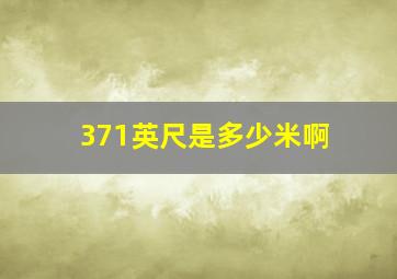 371英尺是多少米啊