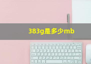 383g是多少mb