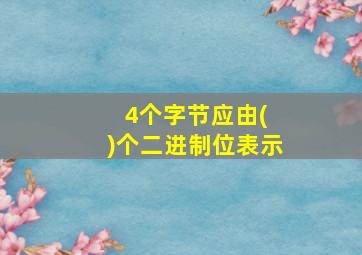 4个字节应由( )个二进制位表示