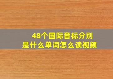 48个国际音标分别是什么单词怎么读视频