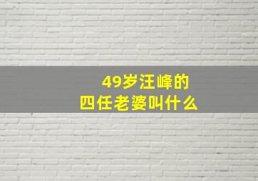 49岁汪峰的四任老婆叫什么