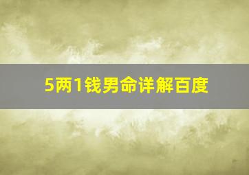 5两1钱男命详解百度