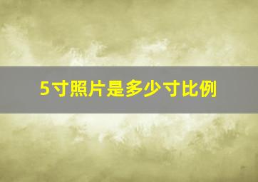 5寸照片是多少寸比例