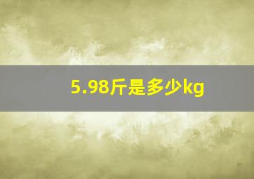 5.98斤是多少kg