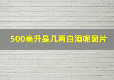 500毫升是几两白酒呢图片