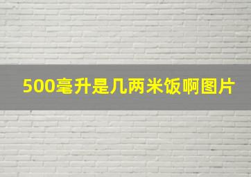 500毫升是几两米饭啊图片