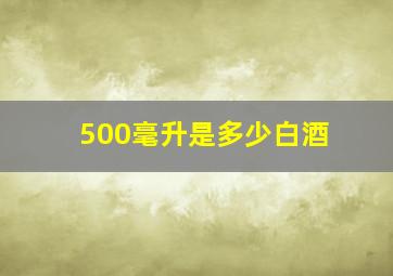 500毫升是多少白酒