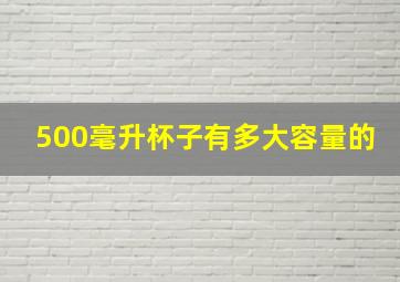 500毫升杯子有多大容量的