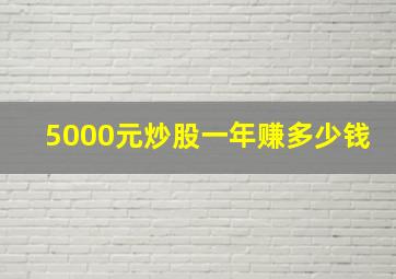 5000元炒股一年赚多少钱