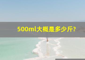 500ml大概是多少斤?