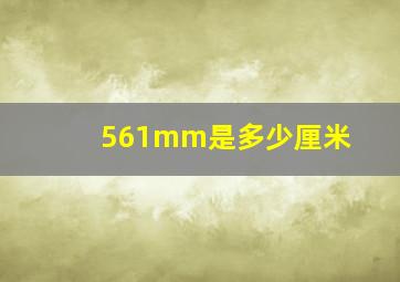 561mm是多少厘米