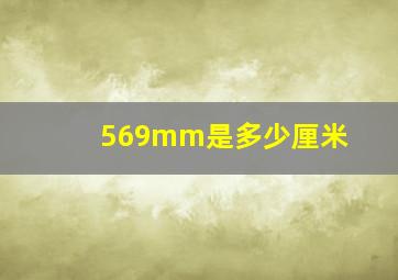 569mm是多少厘米