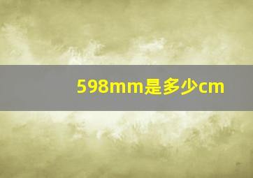 598mm是多少cm