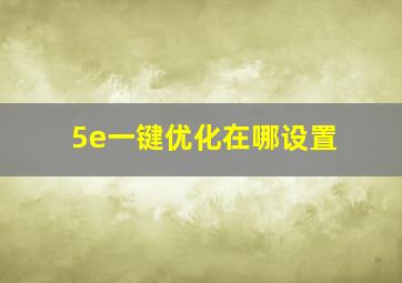 5e一键优化在哪设置