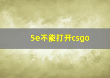 5e不能打开csgo